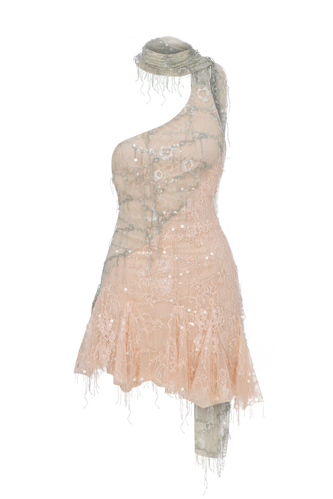 Pembe Lumiere Elbise